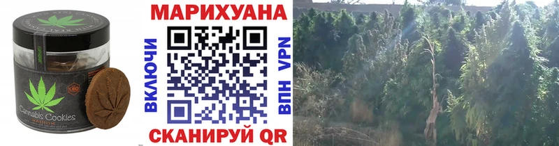 Печенье с ТГК конопля наркотики Вельск