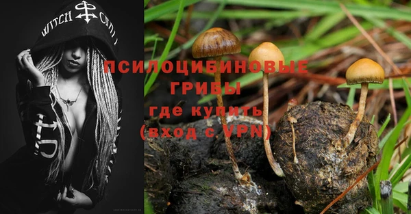 дурь Бугульма