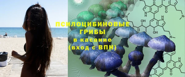 марки nbome Бородино